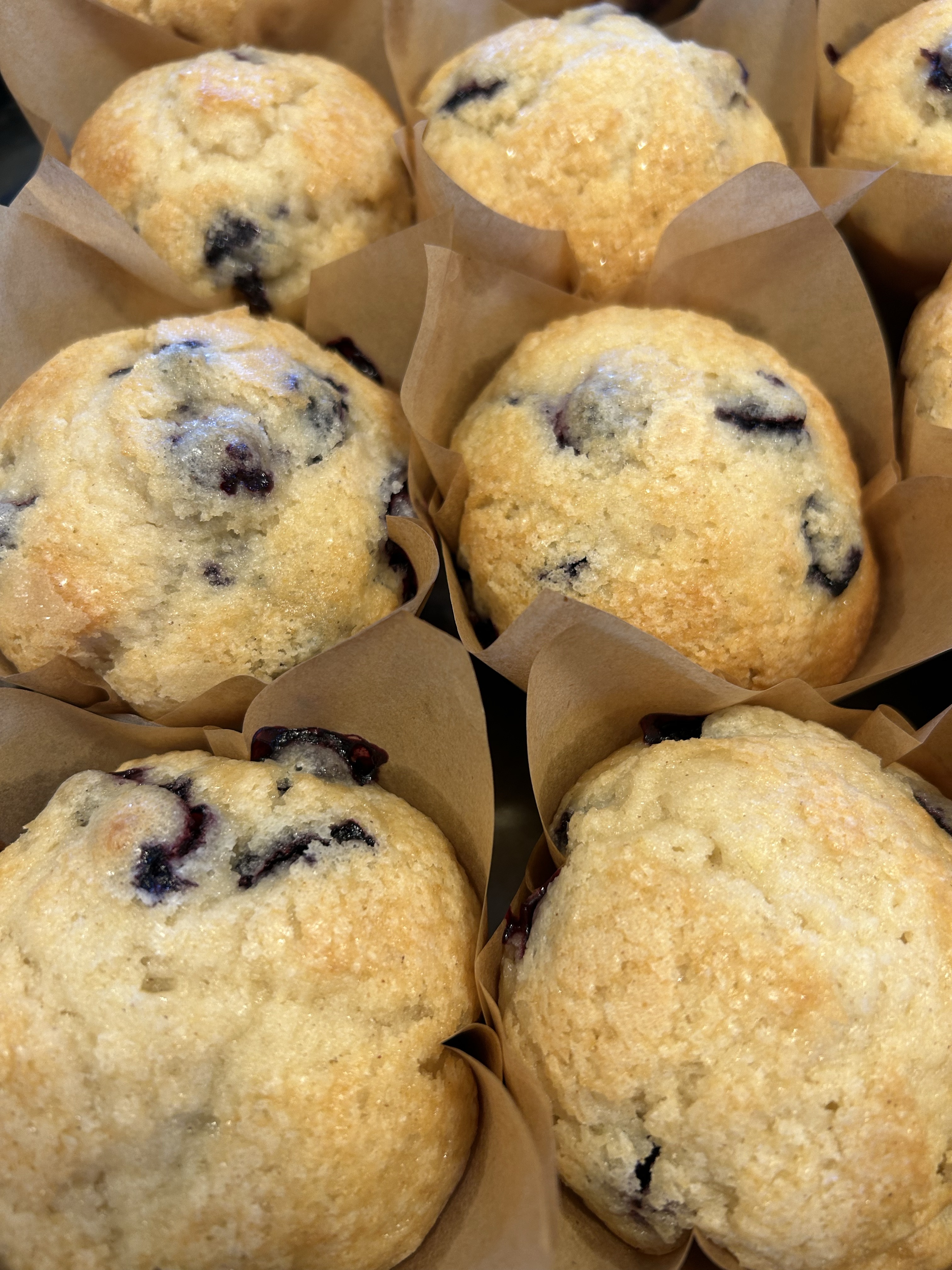 Blueberry Muffins (6)
