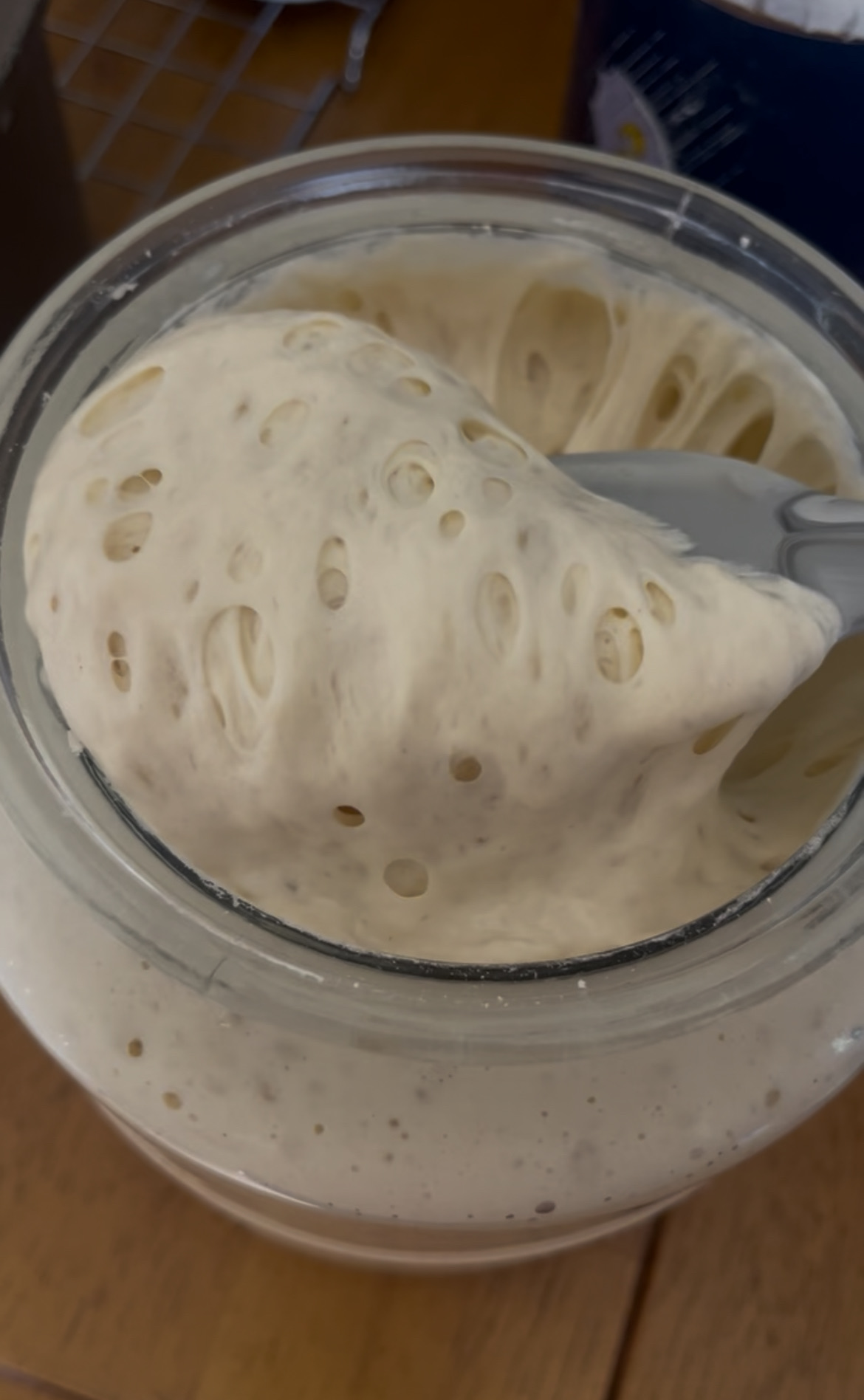 Elevens Sourdough Starter