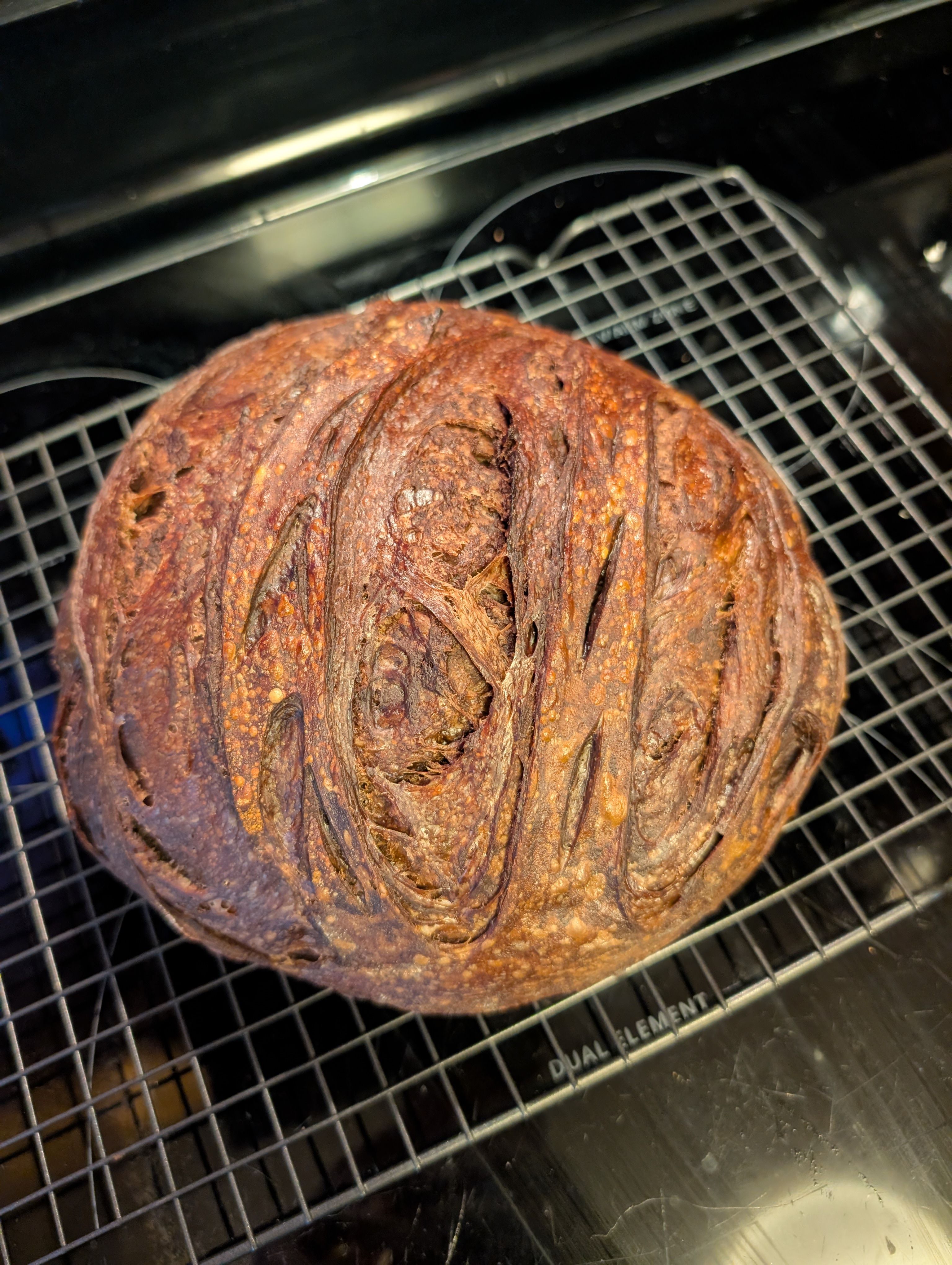 Chocolate Artisan Sourdough Loaf