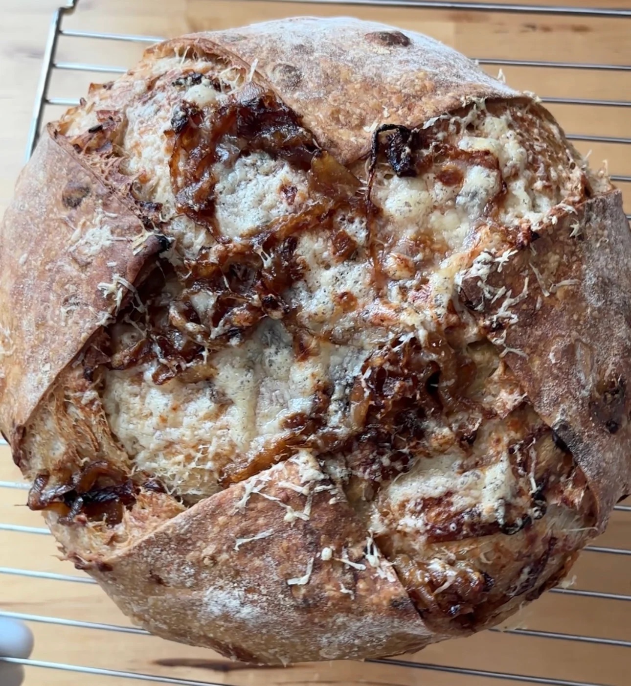French Onion 