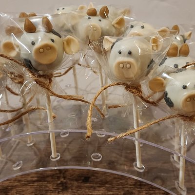 12 Cakepops (1 Dozen Minimum)