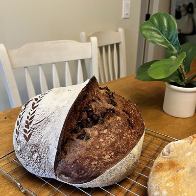 Double Chocolate Chip Sourdough