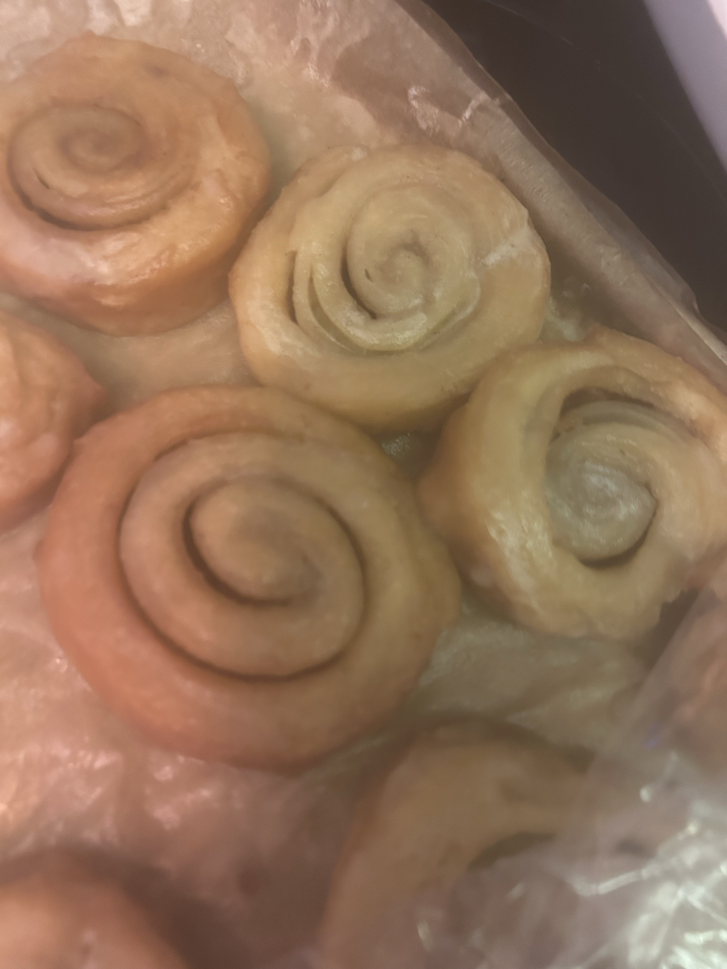 Honeybun 