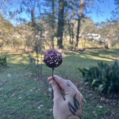 Strawberry Chocolate Cake Pop