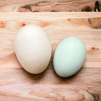 Organic Duck Eggs 1/2 Dozen