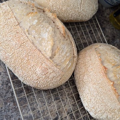 Sesame Crusted Traditional Sourdough