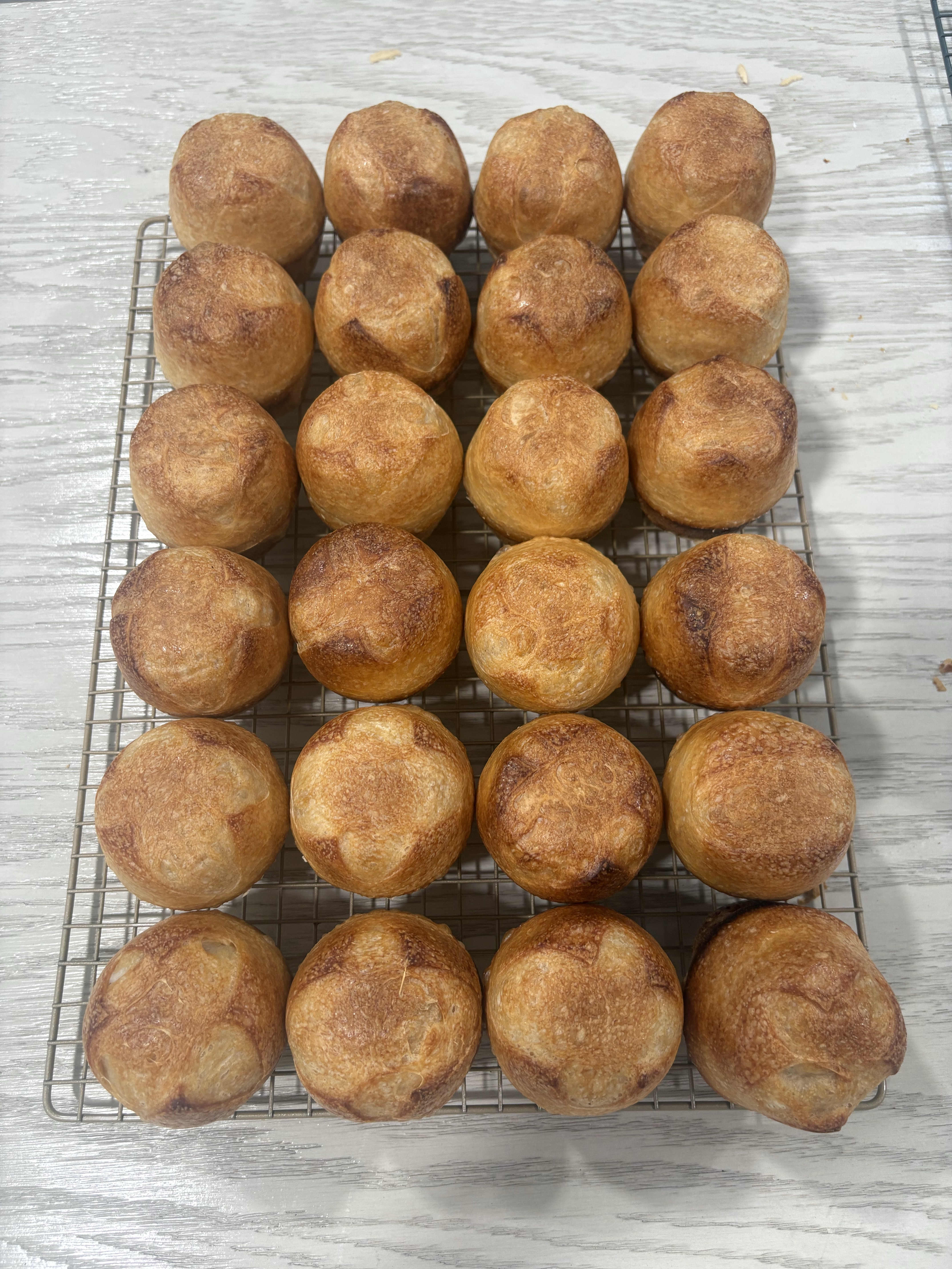 Dinner Rolls
