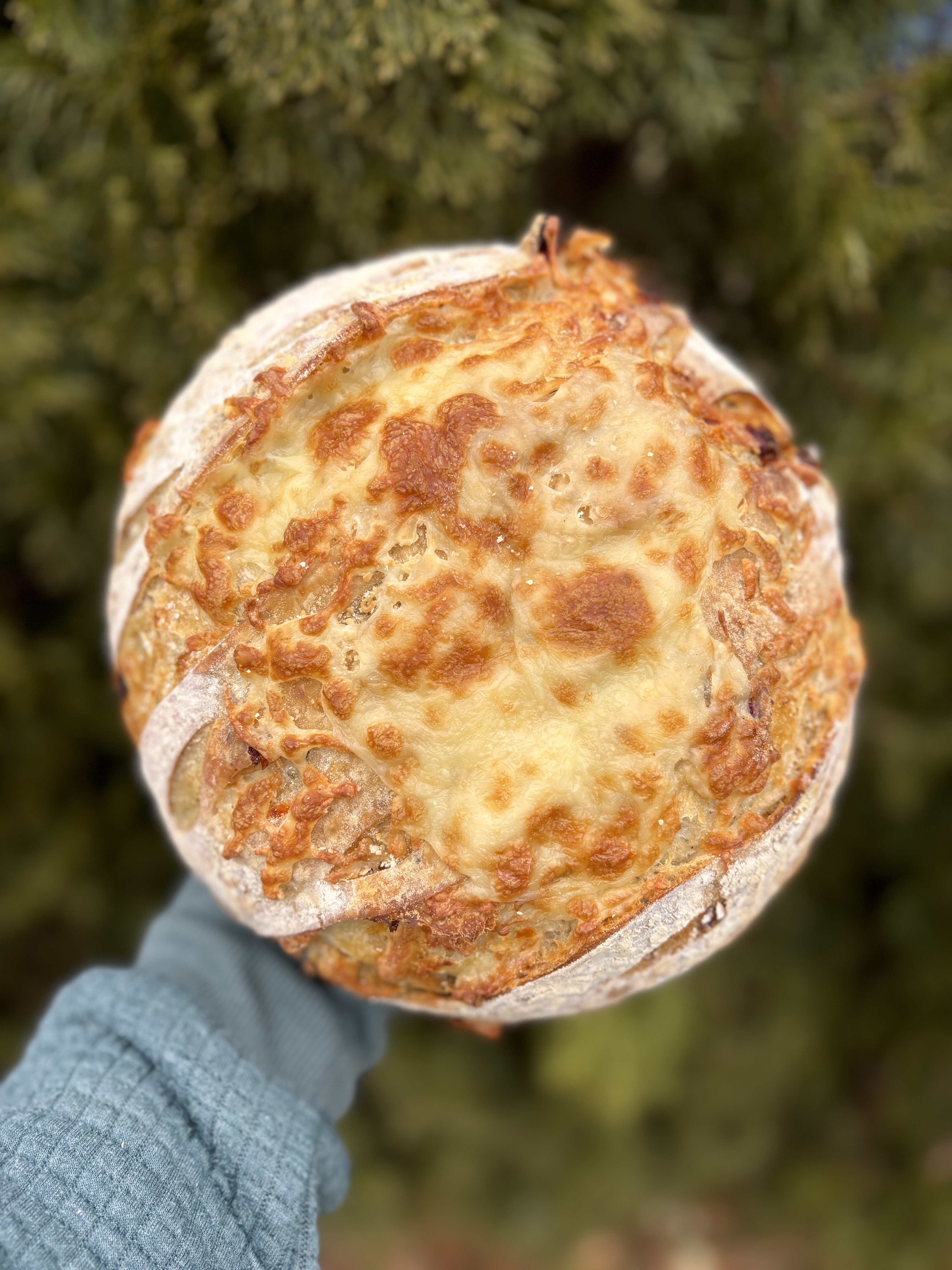 Sundried Tomato & Mozzarella 