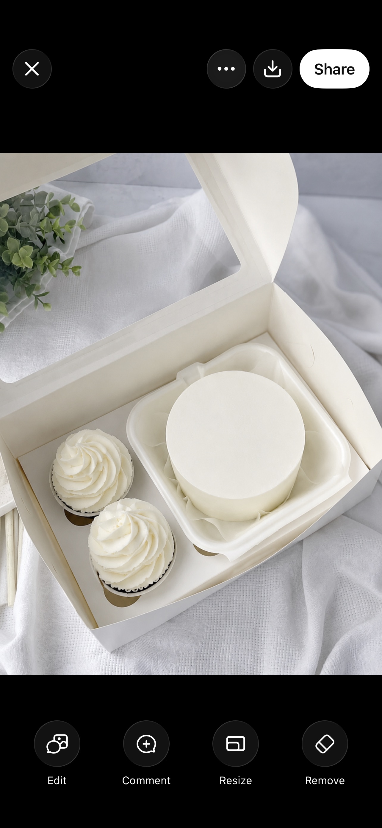 bento cake with 2 cupcakes 