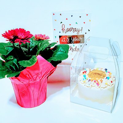 Potted Plant And Cake Gift Bag