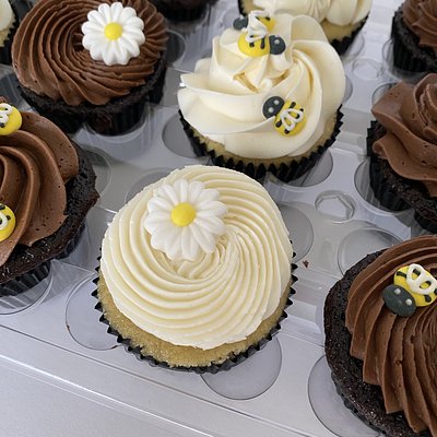 Classic Cupcakes (1 Dozen)