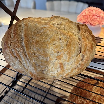 Lemon Blueberry Sourdough 🍋🫐