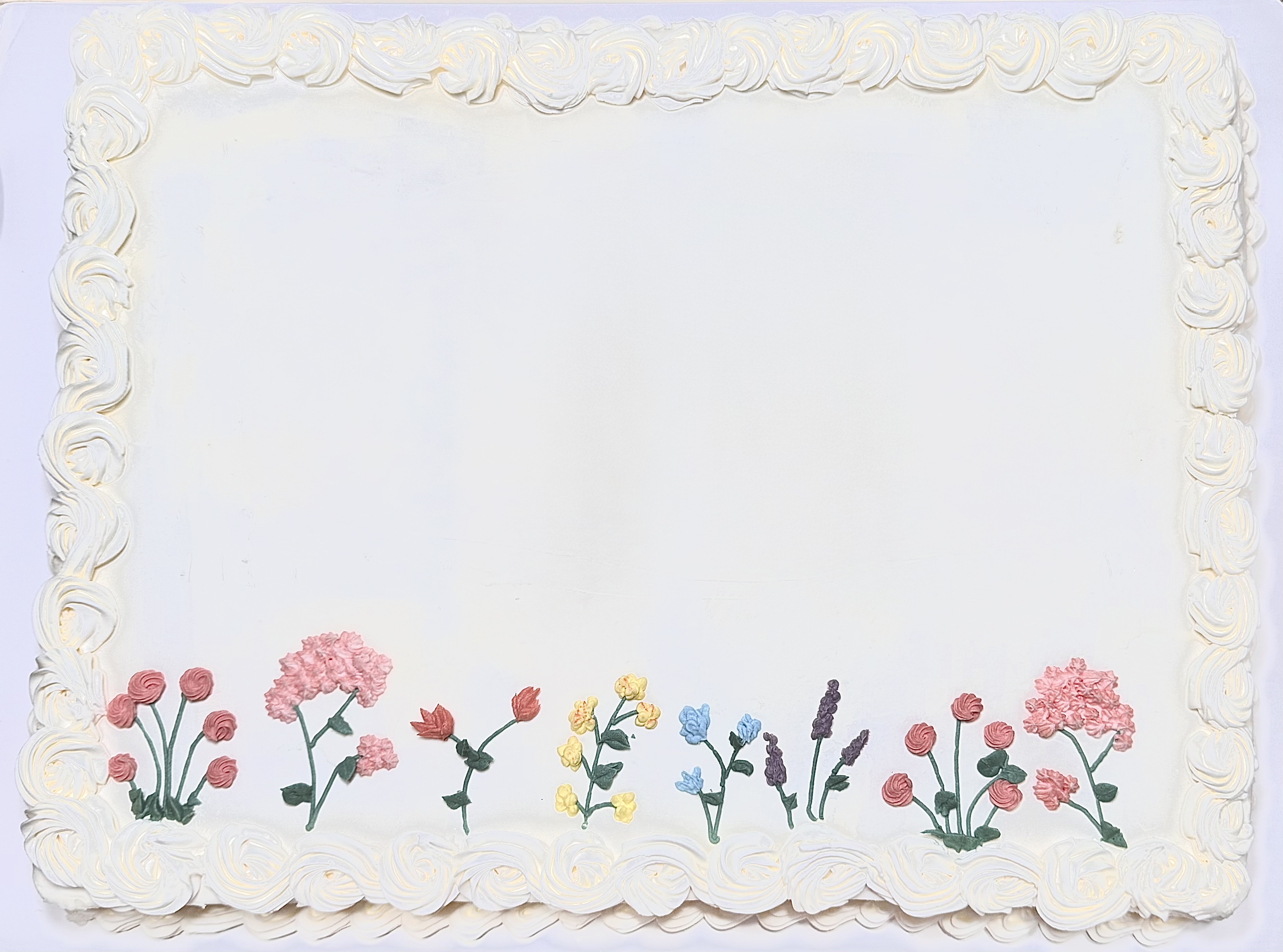 Custom Sheet Cakes (20-100 Servings Based On Size)