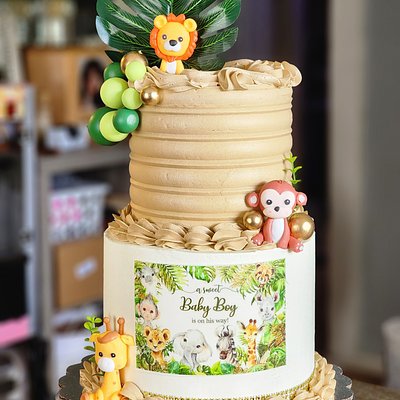 2 Tier Birthday Cakes