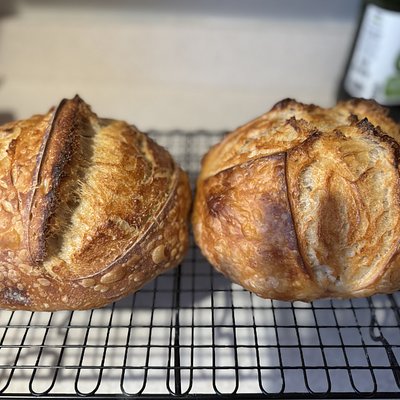 Organic Sourdough Boule