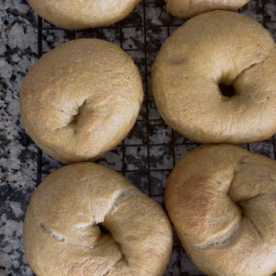 Sourdough Bagel - Plain  12-pack