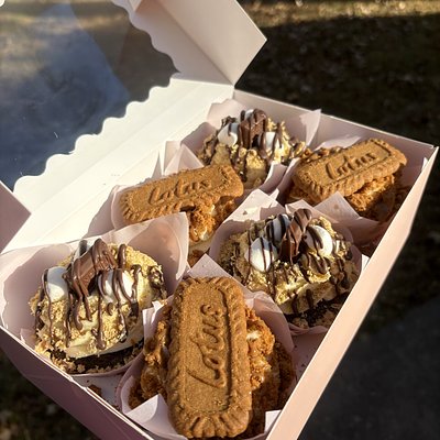 Mix N Match 6CT Lotus Biscoff & S’mores🤎