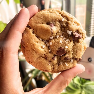 Sourdough Chocolate Chip Cookies 