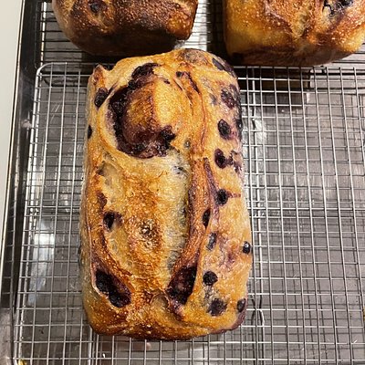 Lemon Blueberry Sour Dough Bread 