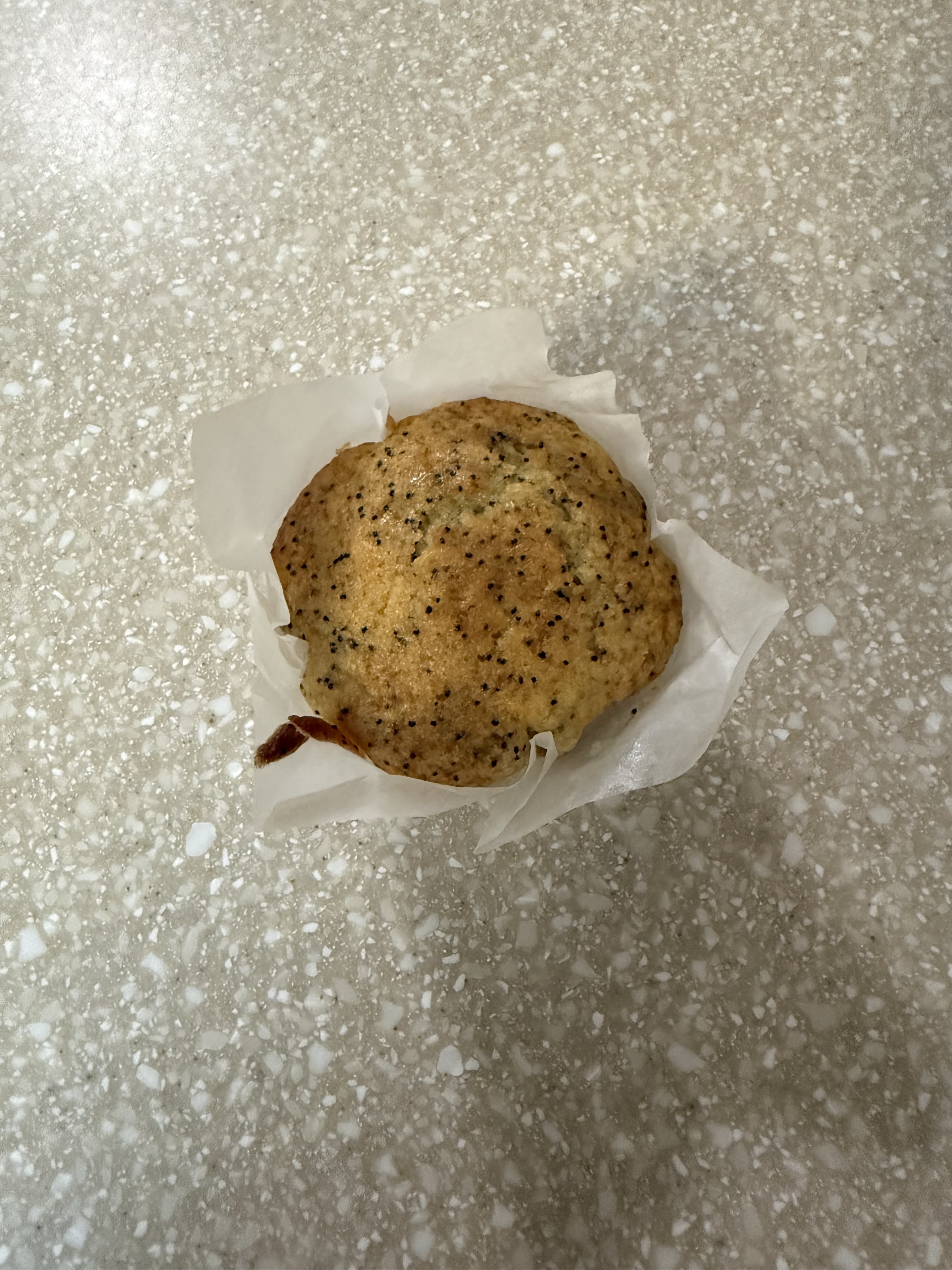 Lemon Poppyseed Muffin (Single)
