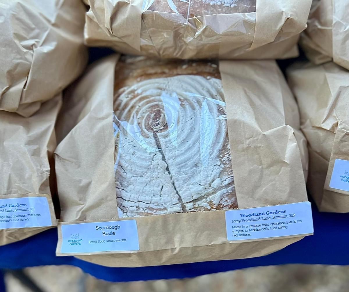 Sourdough Artisan Boule