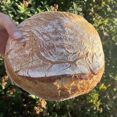 Artisan Loaf