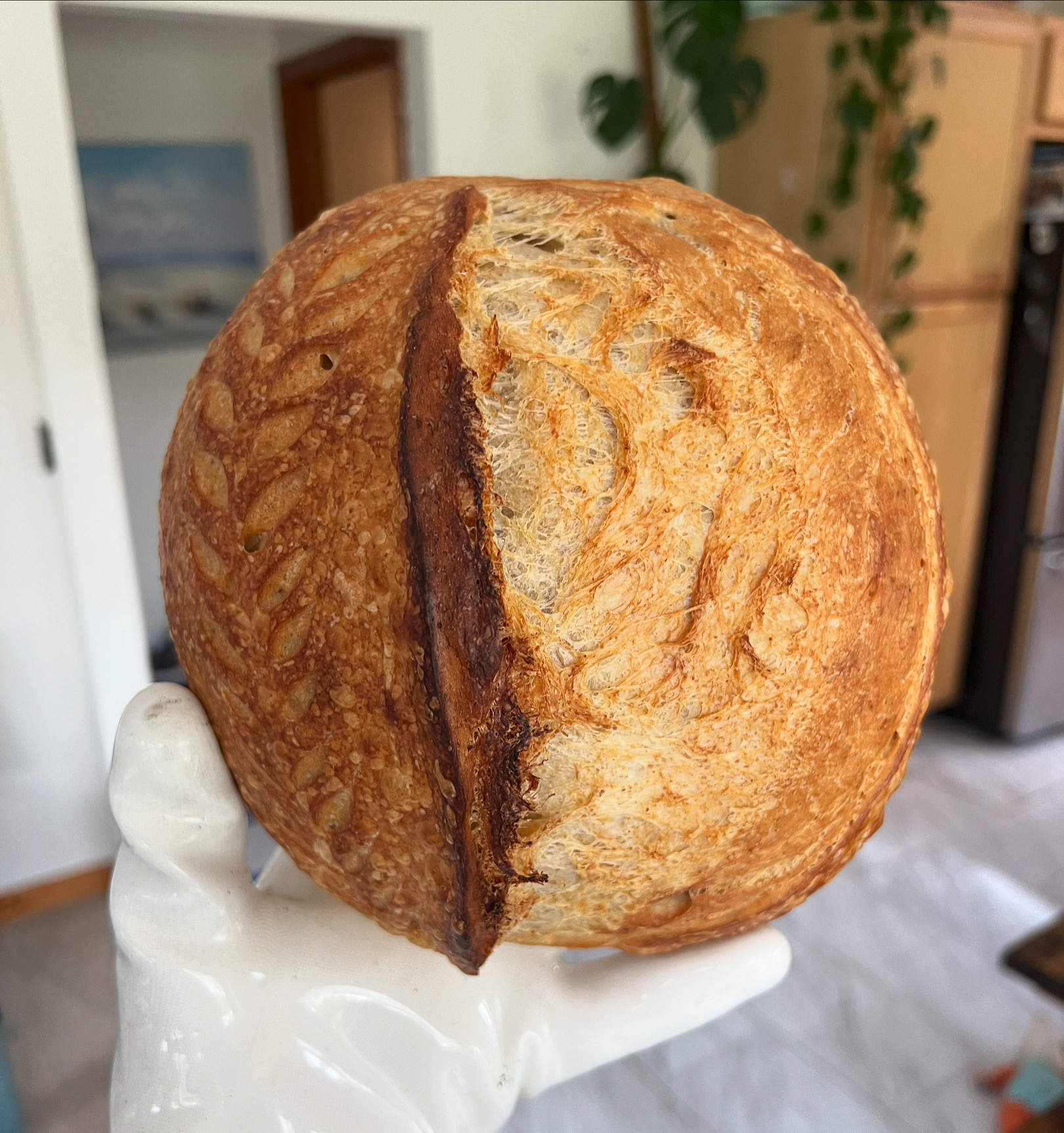 Classic Sourdough Bread 