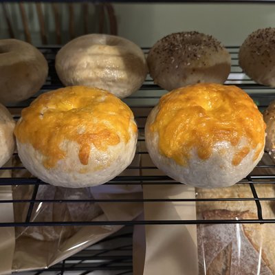 Speciality Sourdough Bagels 
