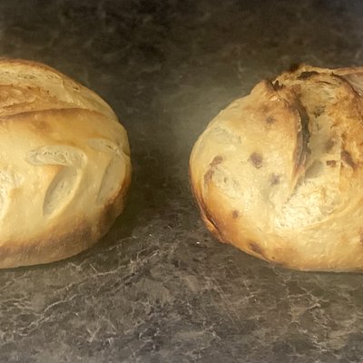 Sourdough Italian Herb And Cheese Loaf 