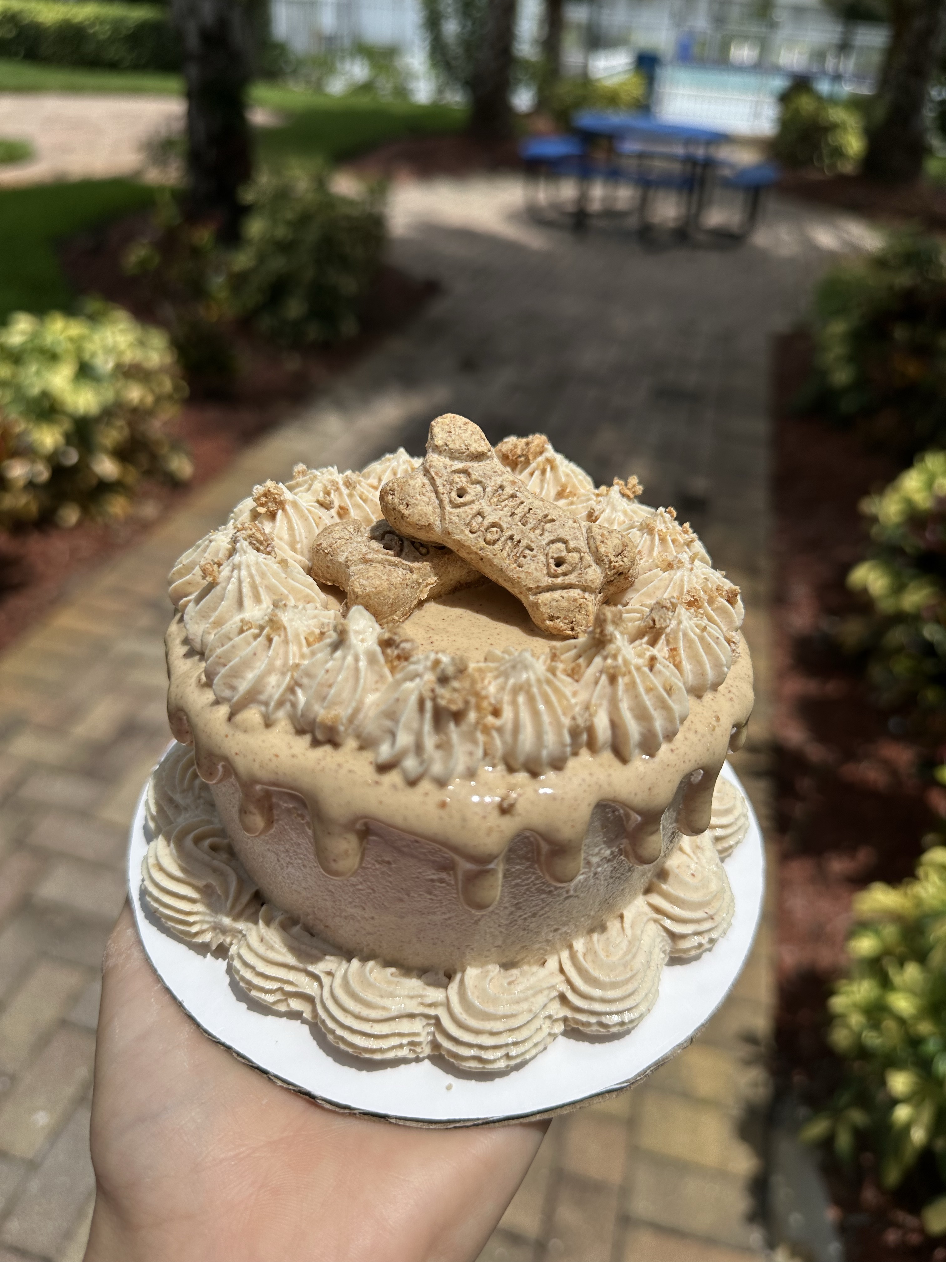 4” Dog Cake