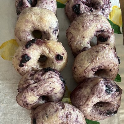 Blueberry Bagel 