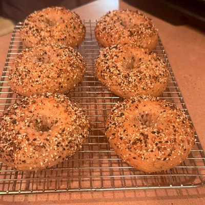 Yogurt Protein Bagels (6) - Everything