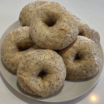 Lemon Poppy Seed Sourdough Bagels 