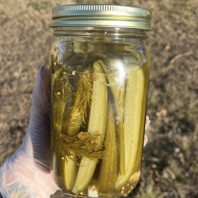 Original Dill Pickle Spears 32 Oz