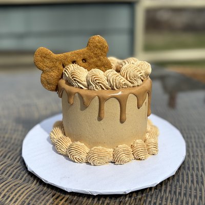 Doggie Cakes