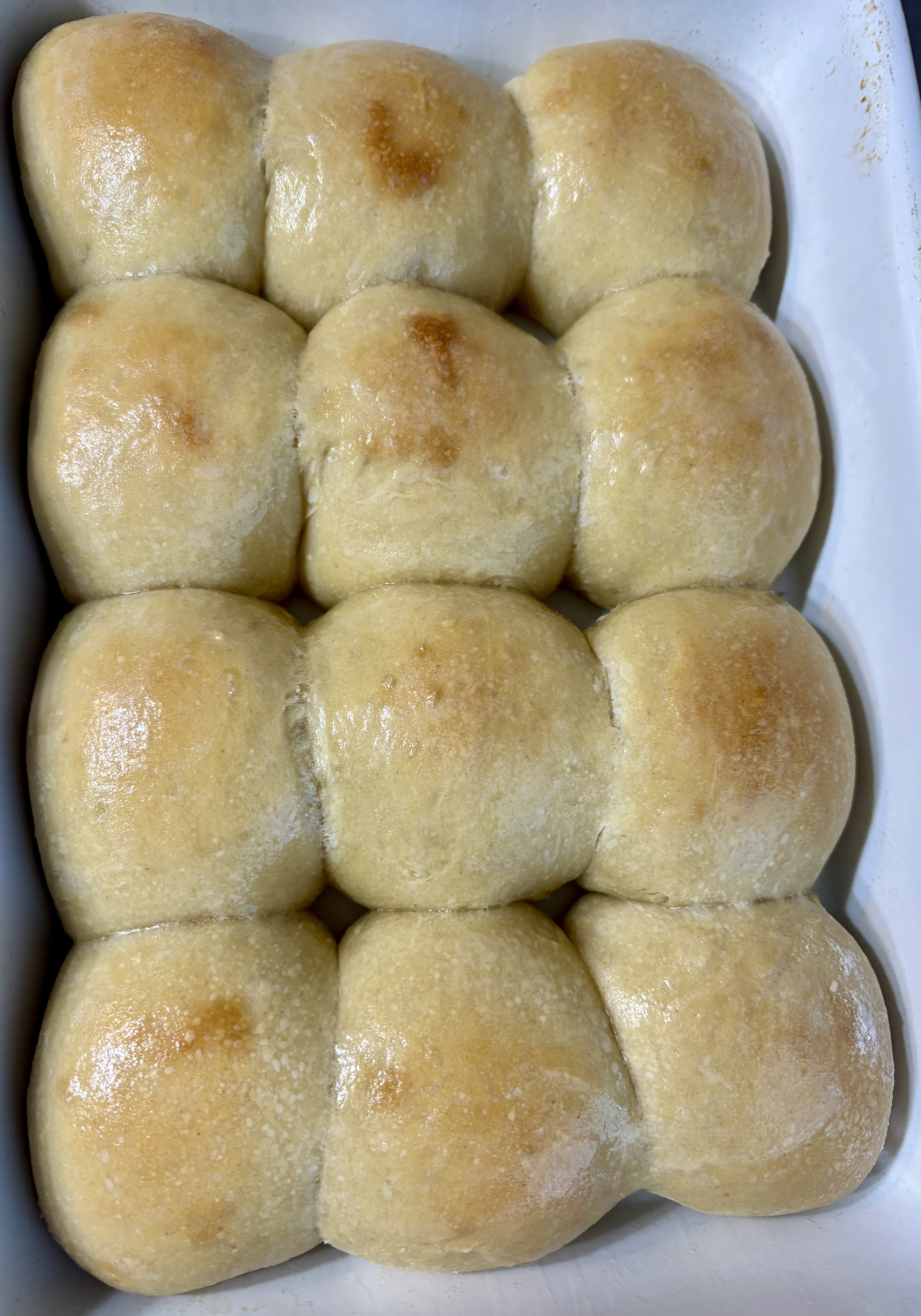 Dinner Rolls 