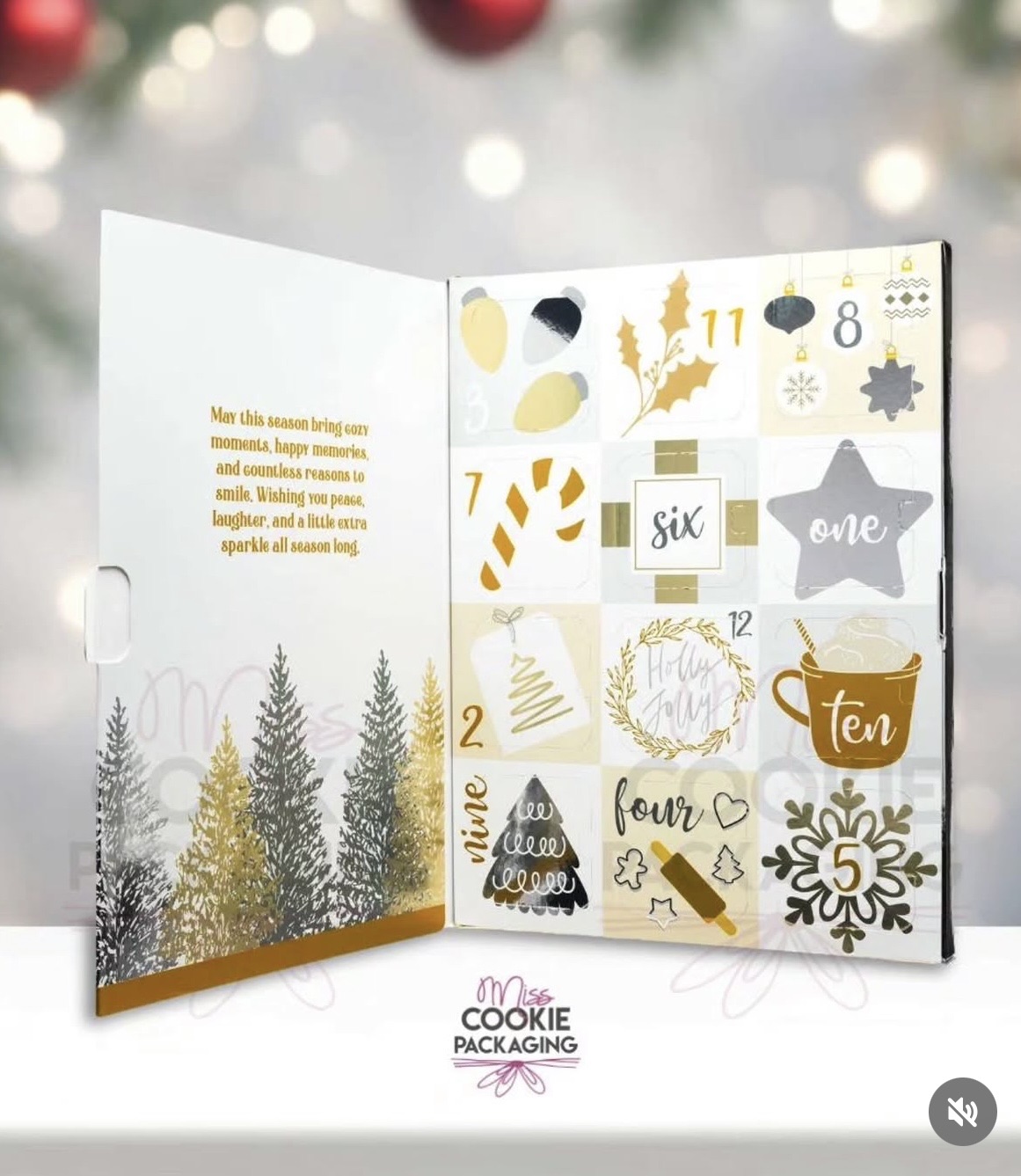 Gold & Silver Cookie Calendar