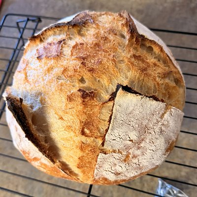 Plain Sourdough Loaf 