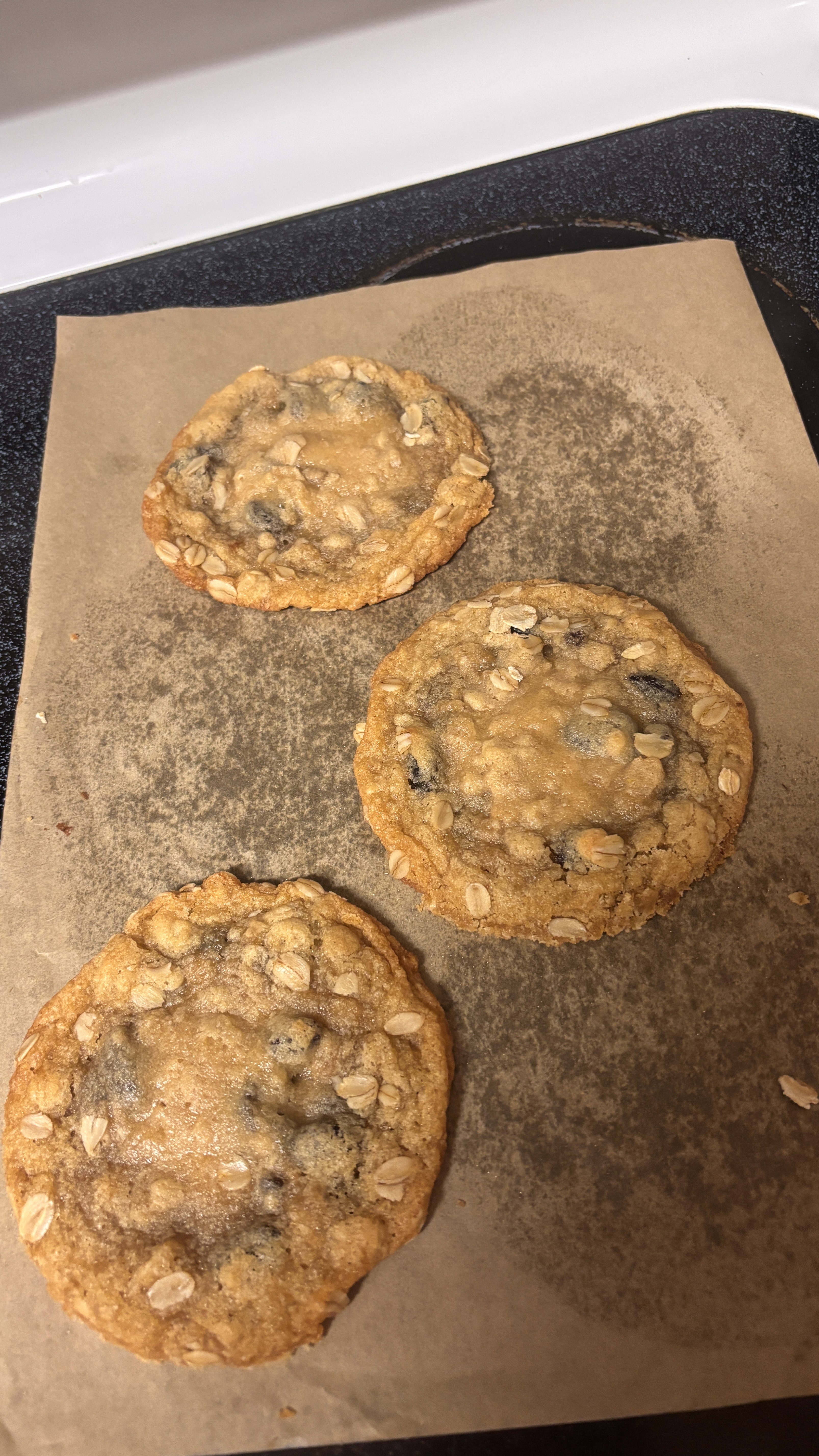 Oatmeal Cookie