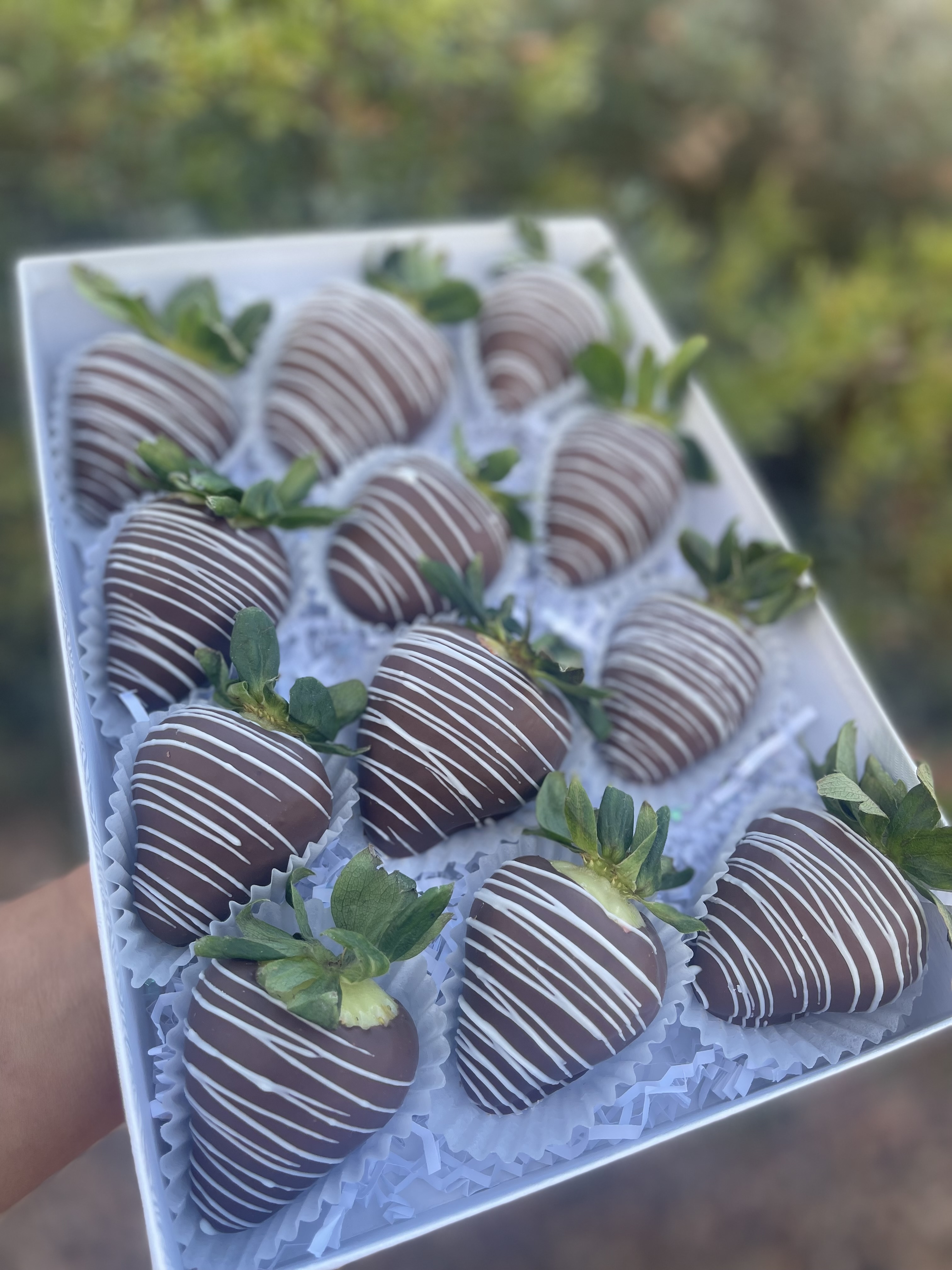 Chocolate Covered Strawberries