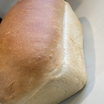 Sandwich Bread