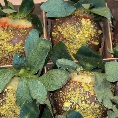 Dubai Stuffed Chocolate Strawberries 12 Count