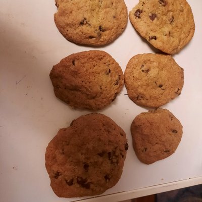 Chocolate Chip