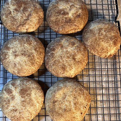Snickerdoodle Cookies 3oz (2 Pack)