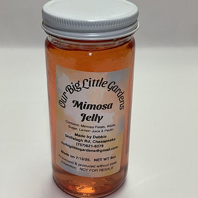 Mimosa 9.5oz