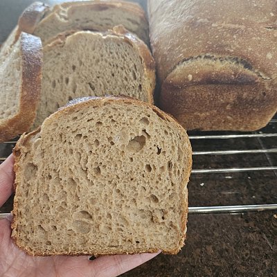 Wheat Blend Sourdough Sandwich Bread