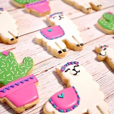Llama and Cactus Fiesta Party Set