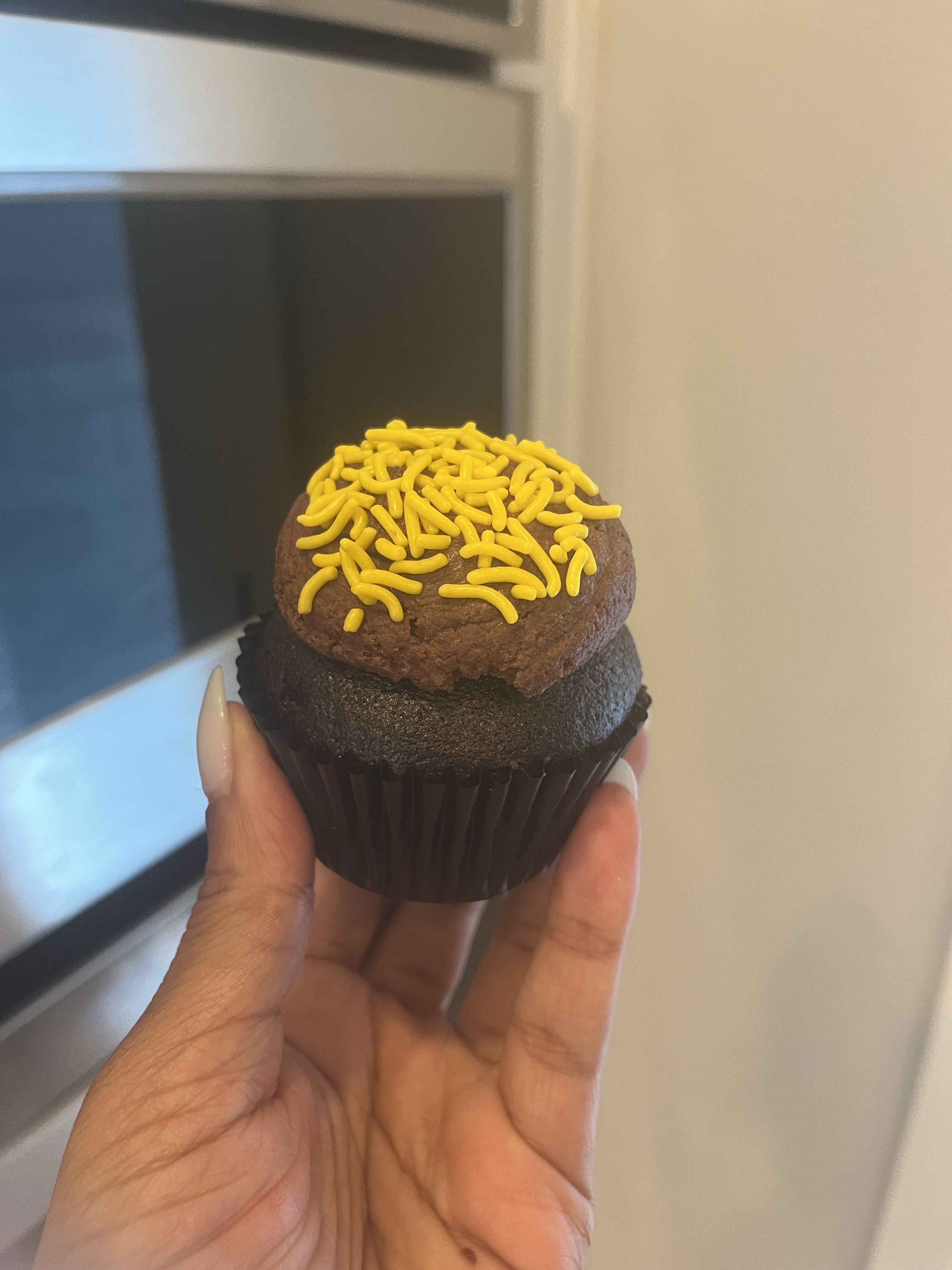 Vegan Chocolate Cupcakes