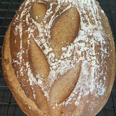 Gluten-free Sourdough 