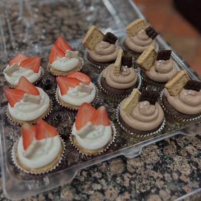 Party Cupcake Tray